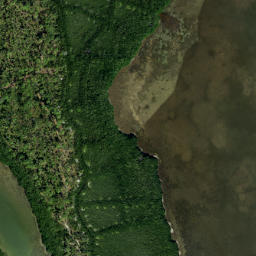 Satellite imagery of Redfish Point, US