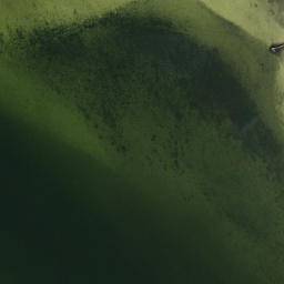 Satellite imagery of Philippe Point, US
