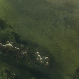 Satellite imagery of Booth Point, US