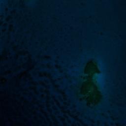Satellite imagery of Johnson Point, SA