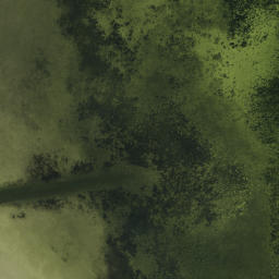 Satellite imagery of Cooper Point, US
