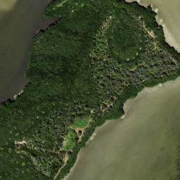 Satellite imagery of Cooper Point, US
