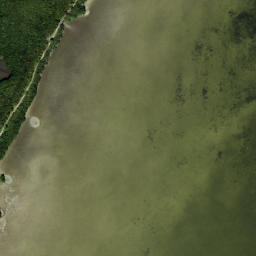 Satellite imagery of Cooper Point, US
