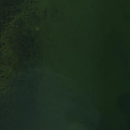 Satellite imagery of Cooper Point, US