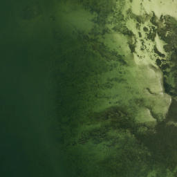 Satellite imagery of Rocky Point, US