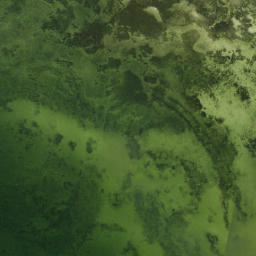 Satellite imagery of Rocky Point, US