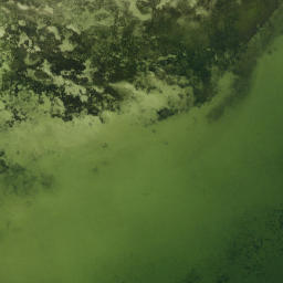 Satellite imagery of Rocky Point, US