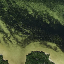 Satellite imagery of Cabbage Patch Point, US