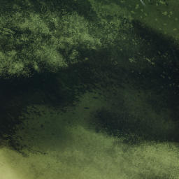 Satellite imagery of Cabbage Patch Point, US