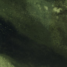 Satellite imagery of Cabbage Patch Point, US