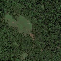 Satellite imagery of Pāṅsirpu Ḍā̃ḍā, NP
