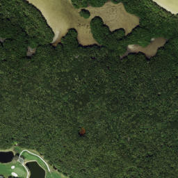 Satellite imagery of Cabbage Patch Point, US