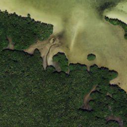 Satellite imagery of Cabbage Patch Point, US