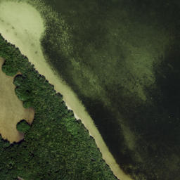 Satellite imagery of Cabbage Patch Point, US