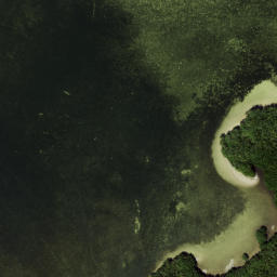 Satellite imagery of Cedar Point, US