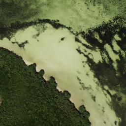 Satellite imagery of Cedar Point, US
