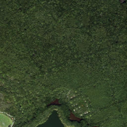 Satellite imagery of Cabbage Patch Point, US
