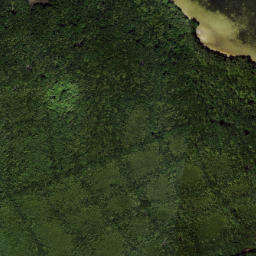 Satellite imagery of Cabbage Patch Point, US