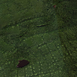 Satellite imagery of Grassy Point, US