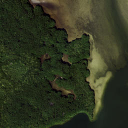 Satellite imagery of Grassy Point, US