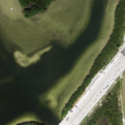 Satellite imagery of Grassy Point, US