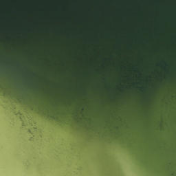 Satellite imagery of Catfish Point, US