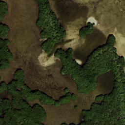 Satellite imagery of Papys Point, US