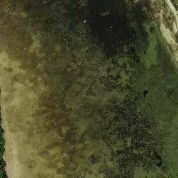 Satellite imagery of Papys Point, US