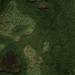 Satellite imagery of Papys Point, US