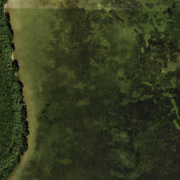 Satellite imagery of Papys Point, US