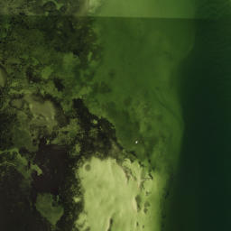 Satellite imagery of Papys Point, US