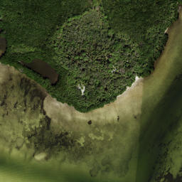 Satellite imagery of Papys Point, US