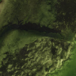 Satellite imagery of Papys Point, US