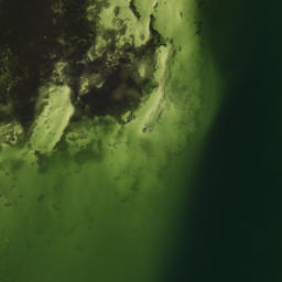 Satellite imagery of Papys Point, US