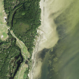 Satellite imagery of Gadsden Point, US