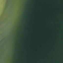 Satellite imagery of Gadsden Point, US