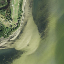 Satellite imagery of Gadsden Point, US
