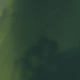 Satellite imagery of Gadsden Point, US