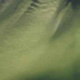 Satellite imagery of Gadsden Point, US