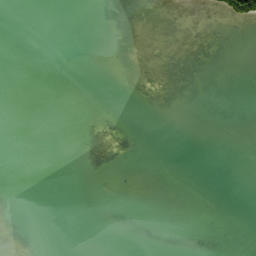 Satellite imagery of Turtlecrawl Point, US