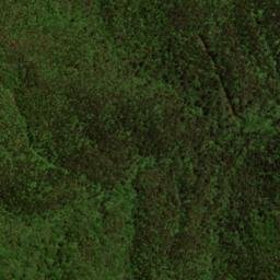 Satellite imagery of Baishanzu, CN