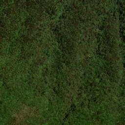 Satellite imagery of Baishanzu, CN