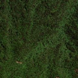 Satellite imagery of Baishanzu, CN