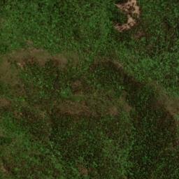 Satellite imagery of Baishanzu, CN
