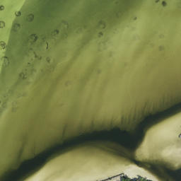 Satellite imagery of Mangrove Point, US