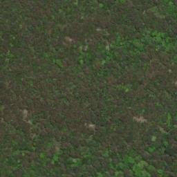 Satellite imagery of Pang La, BT