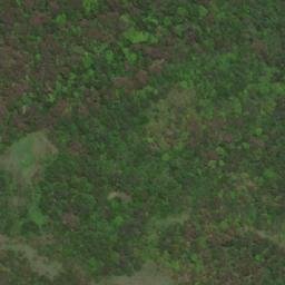 Satellite imagery of Pang La, BT