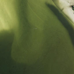 Satellite imagery of Mangrove Point, US