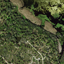 Satellite imagery of Pinellas Peninsula, US