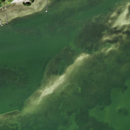 Satellite imagery of Point Pinellas, US